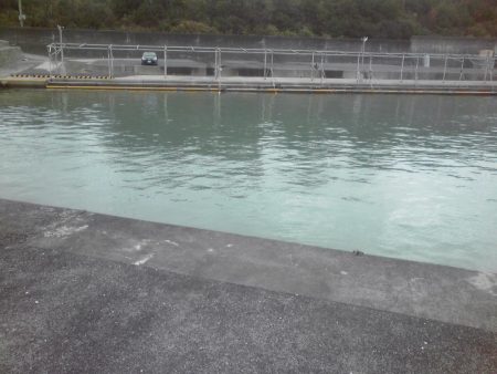 タチウオと小アジ